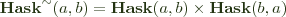 $\mathbf{Hask}^{\sim}(a, b) = \mathbf{Hask}(a, b) \times \mathbf{Hask}(b, a)$